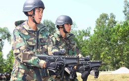 Hải quân đánh bộ - lực lượng tinh nhuệ của Hải quân nhân dân Việt Nam