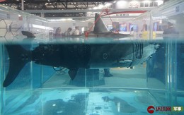 Tàu ngầm "cá mập máy" bí ẩn và đầy nguy hiểm của Trung Quốc