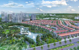 5 lý do khiến Nhơn Hội New City là điểm đến của nhà đầu tư có tầm nhìn