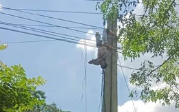 Tài xế xe tải bị điện giật treo lơ lửng trên cột điện ở Cao Bằng