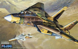 Tại sao Mỹ lo sợ và phải tìm mọi cách "truy cùng diệt tận" F-14 Iran nếu chiến tranh?