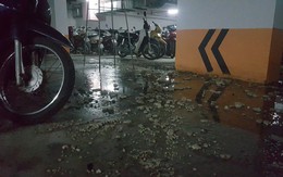 Hà Nội: Hầm gửi xe khu đô thị Thanh Hà bốc mùi hôi thối do vỡ đường ống nước thải