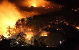 Rừng thông bùng cháy trở lại trong đêm, hàng trăm người dân hô hào lên rừng dập lửa