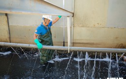 Ảnh: Cận cảnh đáy sông Tô Lịch sau 3 tuần thí điểm công nghệ Nhật Bản phân hủy bùn hữu cơ