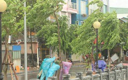Bão số 3 giật cấp 11 sẽ đổ bộ vào Quảng Ninh - Hải Phòng vào trưa mai