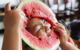 7 ngày qua ảnh: Em bé thi ăn dưa hấu ở Trung Quốc