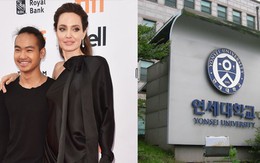 Angelina Jolie xúc động chia tay con trai Maddox tại Hàn Quốc, Brad Pitt không hề xuất hiện