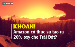 Rừng Amazon cháy thảm khốc, oxy của Trái Đất đang cạn kiệt: Quan niệm này hoàn toàn sai lầm - Vì sao?