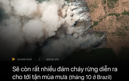 GĐ truyền thông Đài quan sát khí hậu Brazil trả lời báo Việt Nam: Tổng thống chỉ đang dùng 'thuốc giảm đau' mà thôi!