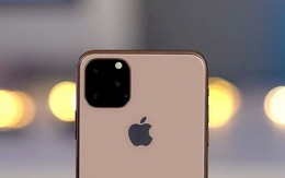 iPhone 11 đầu tiên về Việt Nam giá dự kiến gây "bão", giá điều chỉnh còn bất ngờ hơn