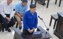 Xử vụ thất thoát nghìn tỷ tại Bảo hiểm xã hội VN: Vợ cựu Thứ trưởng Lê Bạch Hồng xin xem xét trả lại 2 BĐS