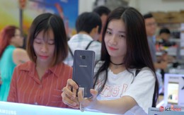 Samsung và Apple so kè từng chút một ở phân khúc smartphone cao cấp Việt Nam