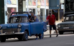 Thiếu xăng dầu trầm trọng, Cuba phải dùng bò kéo thay máy cày