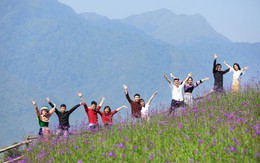 “Dệt tình yêu” trên đỉnh trời