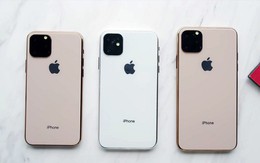 Khách Việt chuộng iPhone 11 Pro hay iPhone 11, có nên đặt mua lúc này?