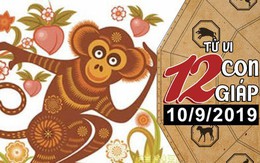 Xem tử vi thứ 3 ngày 10/9/2019 của 12 con giáp: Tuổi Dậu thuận lợi trong tình cảm, Thìn nên cẩn trọng về sức khỏe