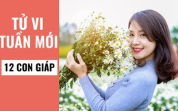 Dự đoán vận mệnh cuộc sống của 12 con giáp trong tuần mới (9/9 - 15/9) và nhận lấy những lời khuyên hữu ích