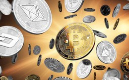 Lỗ đậm, các quỹ tiền ảo kêu gọi nhà đầu tư kiên nhẫn