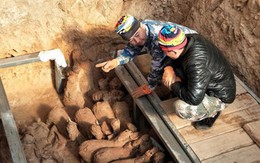 Trung Quốc phát hiện hơn 40 cổ vật 2.000 năm tuổi tại Sơn Đông
