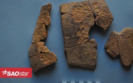 Phát hiện mảnh vỡ hộp sọ voi trong pháo đài Ai Cập 2.300 tuổi