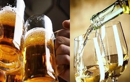 Bia và rượu, cái nào hại sức khỏe hơn?