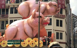 Hai chú heo khổng lồ bỗng nổi như cồn ở khu phố Tàu vì quá xấu xí, trở thành "thảm họa" trang trí năm mới