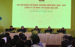 ĐHĐCĐ Hoa Sen Group (HSG): 'Khi nào Cà Ná có giấy phép, tôi xuất chiêu cho quý vị coi'