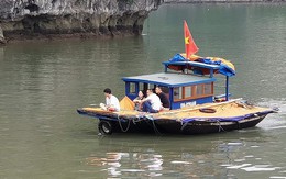 Xuồng mang BKS Biên phòng chở khách 'chui' trên vịnh Hạ Long