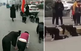 Cận Tết, công ty Trung Quốc phạt nhân viên bò trên đường vì không đạt chỉ tiêu
