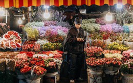 Chùm ảnh: Chợ hoa Quảng An sáng đèn, lung linh những ngày giáp Tết
