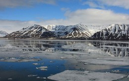 Phát hiện dấu vết "siêu quái vật" tí hon ở Bắc Cực