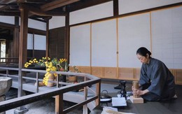 Sau 10 năm ẩn dật, người phụ nữ Nhật Bản trở thành 'kho báu quốc gia' khi được mọi người mệnh danh là bậc thầy cắm hoa
