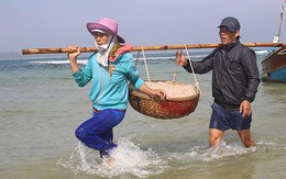 Giáp Tết ngư dân Quảng Ngãi trúng đậm 'lộc biển'