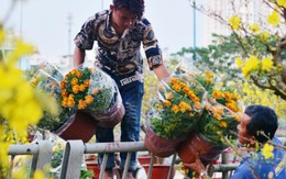 Ngắm nhìn chợ hoa lớn nhất Sài Gòn tấp nập thuyền bè ngày cuối năm