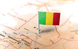 Mali: Hàng chục nghìn người tham gia biểu tình chống chính phủ