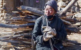 Bi kịch người già ở Trung Quốc: Tuổi trẻ dốc sức, dốc tiền nuôi con, đến khi xế chiều phải gánh củi, bán ngô nuôi thân