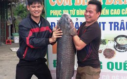 Cá trắm đen nặng hơn 33 cân, dài gần 1 mét sa lưới ngư dân Thanh Hóa