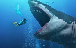 Sinh vật đã từng giết chết siêu quái vật Megalodon có thể đang tồn tại ngay lúc này