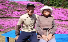 Người đàn ông Nhật Bản dành trọn tình yêu để trồng đồi hoa trước nhà suốt 4 năm để tặng vợ mù lòa