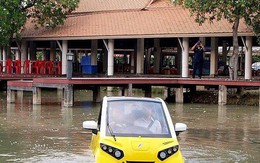 Đại gia Nhật muốn bán ô tô lội nước giá 250 triệu tại VN