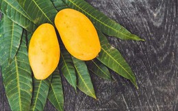 Bất ngờ với 13 lợi ích sức khỏe của quả xoài