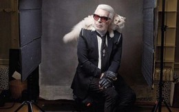 Cuộc sống vương giả của mèo Choupette - tình yêu lớn nhất đời Karl Lagerfeld