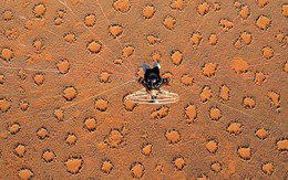 Những "vòng tròn thần tiên" đầy bí ẩn giữa sa mạc khiến khoa học đau đầu chuẩn bị có một lời giải mới