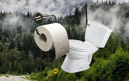 Lượng giấy vệ sinh người Mỹ dùng trong 1 năm bằng cả cánh rừng Canada