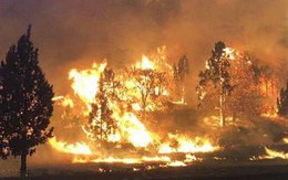 Còn nhớ vụ cháy rừng như "tận thế" tại California năm ngoái chứ? Khoa học tin rằng từ nay nó có thể xảy ra mỗi năm