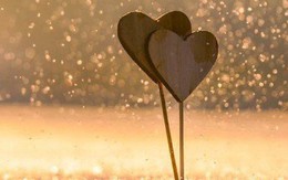 Hỡi những cặp đôi đang yêu nhau, các bạn có được bao nhiều điều trong số những minh chứng về tình yêu đích thực dưới đây?