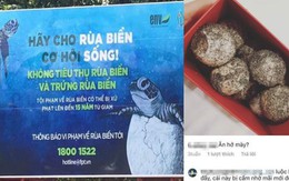 Cô gái bị tố mua trứng rùa biển rồi luộc ăn, không quên khoe trên Instagram khi du lịch Côn Đảo khiến nhiều người phẫn nộ