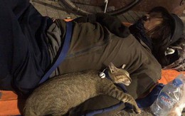 Chú mèo nhỏ nằm ngủ ngon lành trong vòng tay người đàn ông lang thang trên vỉa hè khiến nhiều người thương cảm