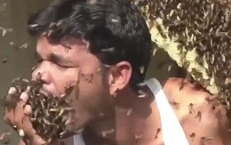 Người đàn ông thoải mái chơi đùa, thậm chí nhét hàng trăm con ong vào miệng