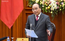 Thủ tướng yêu cầu điều động nhân lực về Bắc Ninh xét nghiệm nhiễm sán lợn